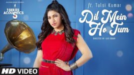 Dil Mein Ho Tum Lyrics – Tulsi Kumar | WHY CHEAT INDIA