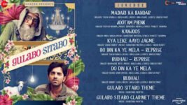 Do Din Ka Ye Mela Lyrics Gulabo Sitabo Tochi Raina