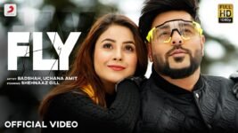 Fly Lyrics in Hindi Badshah x Uchana Amit x Shehnaaz Gill