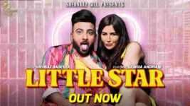 Little Star Lyrics Shehbaz Badesha x Naina | New Hindi song