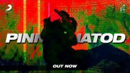 PINNAK NA TOD LYRICS RAGA