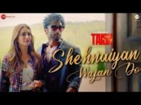 Shehnaiyan Wajan Do Lyrics Taish | Enbee X Raahi
