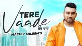 TERE VAADE LYRICS MASTER SALEEM