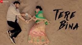 TERE BINA LYRICS – Bismil