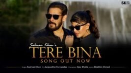 TERE BINA SONG LYRICS SALMAN KHAN | JACQUELINE FERNANDEZ