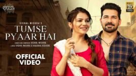 Tumse Pyaar Hai Lyrics – Vishal Mishra | Rubina x Abhinav | Hindi song