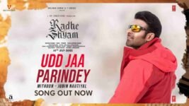Udd Ja Parindey Lyrics – Radhe Shyam | Jubin Nautiyal | Bollywood song