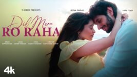 Dil Mera Ro Raha Lyrics – Sonu Nigam | Hindi Song