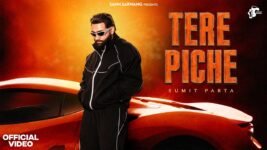 Tere Piche Lyrics – Sumit Parta | Haryanvi Song