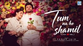 Tum Na Ho Shamil Lyrics – Sagar Jain | Hindi Song Lyrics — Lyrixwala.com