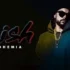 DIL LYRICS ARMAAN BEDIL FT RAASHI SOOD