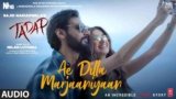 Ae Dila Marjaneya Lyrics – Tadap | Neha Kakkar | Bollywood song