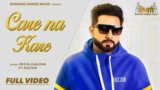Care Na Kare Lyrics Geeta Zaildar | Sultaan | Punjabi Song