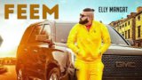 FEEM LYRICS – Elly Mangat