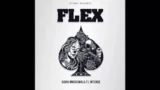 FLEX LYRICS SIDHU MOOSE WALA