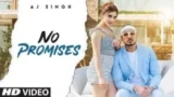 NO PROMISES LYRICS AJ SINGH