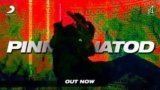 PINNAK NA TOD LYRICS RAGA