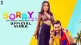SORRY LYRICS – Neha Kakkar