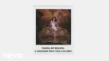 SOUVENIR LYRICS SELENA GOMEZ