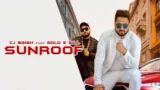 SUNROOF LYRICS CJ SINGH | GOLD E GILL