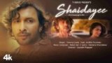 Shaidayee Lyrics – Terence Lewis | Hindi song