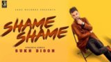 Shame Shame Lyrics – Sukh Digoh Ft. Mr V Grooves