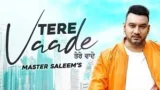 TERE VAADE LYRICS MASTER SALEEM
