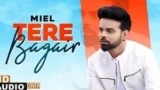 TERE BAGAIR LYRICS MIEL