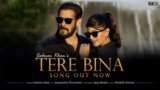 TERE BINA SONG LYRICS SALMAN KHAN | JACQUELINE FERNANDEZ