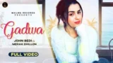 TU GADWA LYRICS JOHN BEDI | MEHAK DHILLON