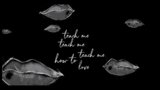 Teach Me How To Love Lyrics Shawn Mendes | Wonder | English Music Lyrics