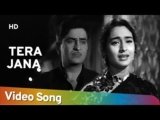 Tera Jana Lyrics – Anari | Lata Mangeshkar | old Bollywood song