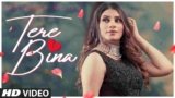 Tere Bina Lyrics Mannat Noor | Punjabi song