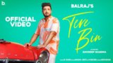 Tere Bin Lyrics Balraj