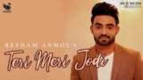 Teri Meri Jodi Lyrics – Resham Singh Anmol