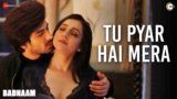 Tu Pyar Hai Mera Lyrics – Badnam | Yasser Desai | Bollywood song