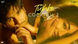 Tujhko Lyrics – Cocktail 2