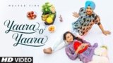Yaara O Yaara Lyrics Mehtab Virk
