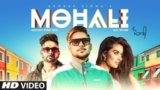 Mohali Lyrics – George Sidhu | Rza Heer