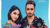 RANG GULABI LYRICS – Nevvy Virk